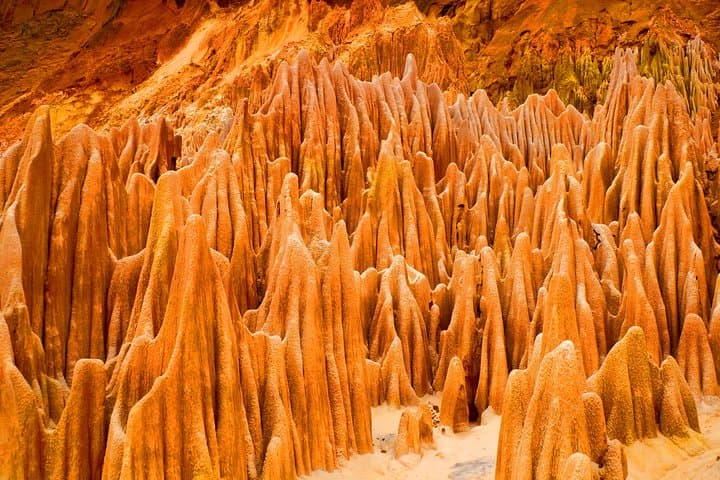 Highlights of Northern Madagascar: 11-Day Private Adventure from Diego Suarez to Nosy Be photo 6