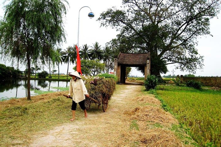 Motorbike Day Trip from Hanoi to Ba Vi National Park and Duong Lam Ancient Village photo 3