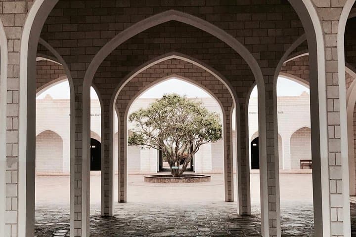 Salalah Half-Day City Tour: Frankincense, Souks and Al-Baleed Heritage photo 2