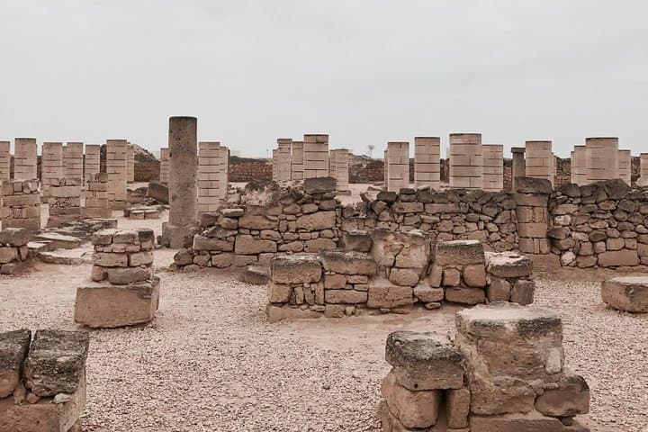 Salalah Half-Day City Tour: Frankincense, Souks and Al-Baleed Heritage photo 3