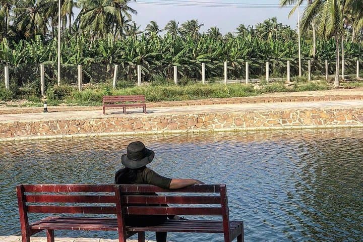 Salalah Half-Day City Tour: Frankincense, Souks and Al-Baleed Heritage photo 4