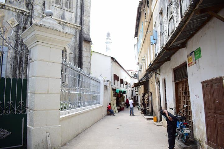 zanzibar-stone-town-walking-tour-history-spices-seafront photo 2