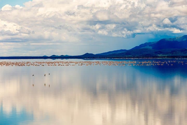 4-Day Tanzania Safari: Tarangire, Ngorongoro & Serengeti Wildlife Tour photo 4