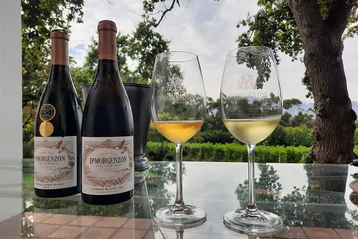 Full-Day Private Cape Winelands Wine Tasting Tour (Stellenbosch, Paarl, Franschhoek)
