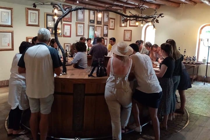 Full-Day Private Cape Winelands Wine Tasting Tour (Stellenbosch, Paarl, Franschhoek) photo 2