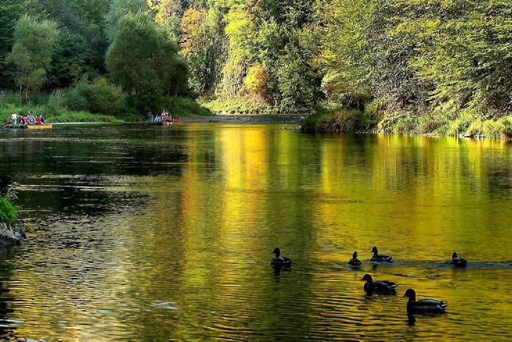 Dunajec River Rafting from Krakow — Pieniny Gorge Day Trip photo 3