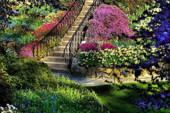 Aswan Private Nile Sunset Cruise & Kitchener Botanical Garden Visit photo 4