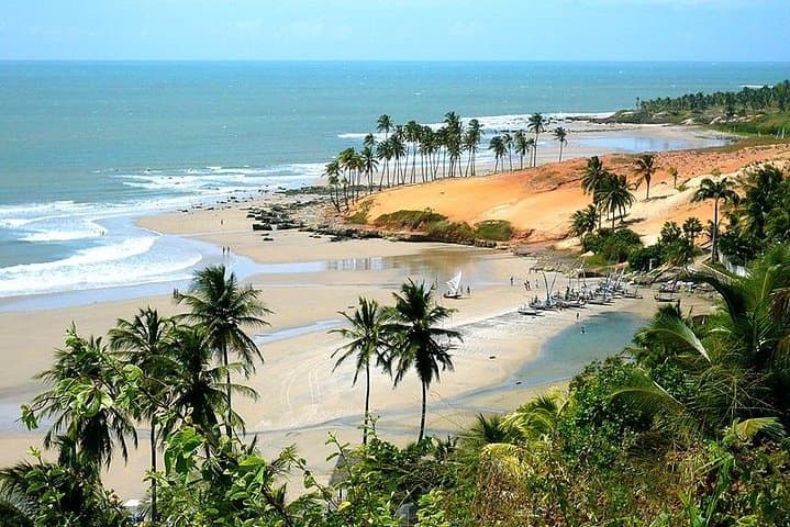 Coastal 4x4 Transfer: Fortaleza to Jericoacoara by the Beach photo 6