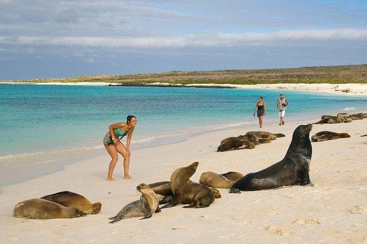 Wild San Cristobal: 4-Day Galápagos Expedition to Kicker Rock and the Highlands photo 2