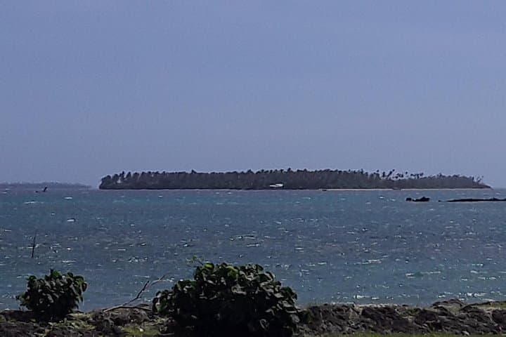 Tongatapu Full-Island Cultural and Coastal Tour: See, Hear and Experience photo 3