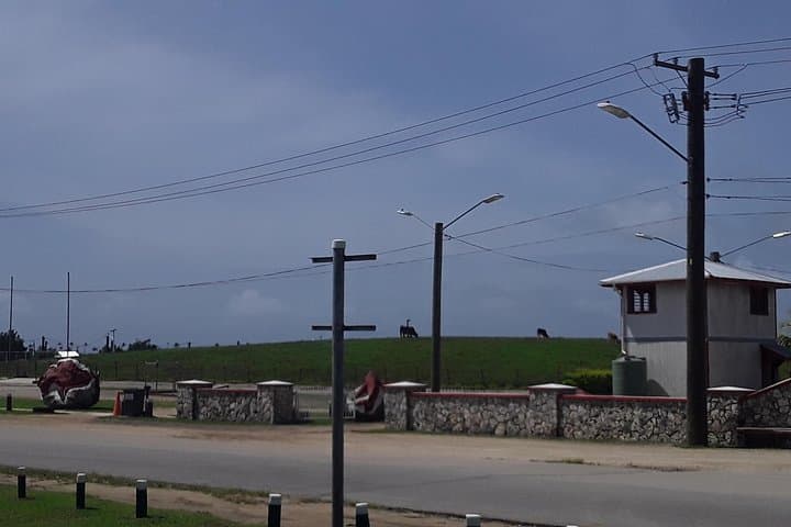 Tongatapu Full-Island Cultural and Coastal Tour: See, Hear and Experience photo 4