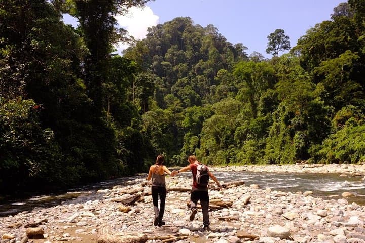 3-day Jungle Trek and Rafting in Gunung Leuser from Bukit Lawang photo 4