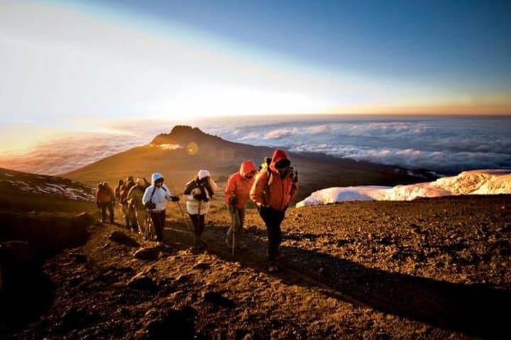 6-Day Machame Route: Kilimanjaro Trek to Uhuru Peak photo 4