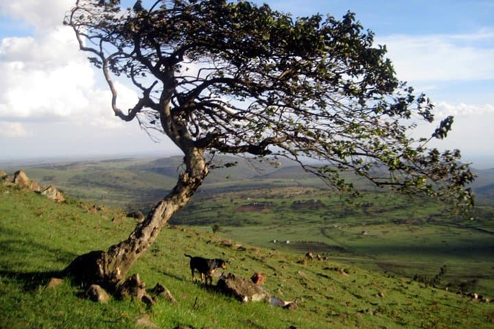 Ngong Hills Hiking & Zipline Adventure Day Trip from Nairobi photo 2