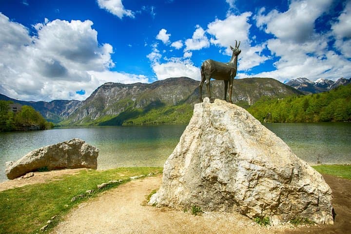 Bled to Lake Bohinj Day Trip: Vintgar Gorge, Pokljuka Plateau, and Alpine Lake Views photo 2
