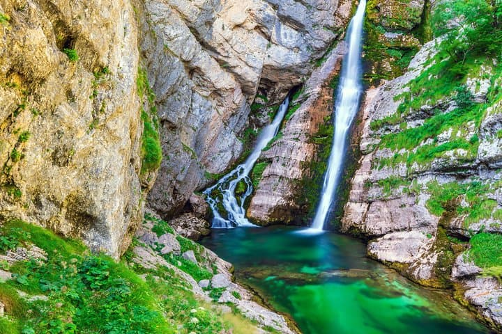 Bled to Lake Bohinj Day Trip: Vintgar Gorge, Pokljuka Plateau, and Alpine Lake Views photo 6