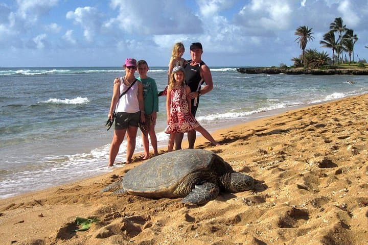 Private Custom Oahu Island Tour — 8-Hour Private Tour from Waikiki photo 5