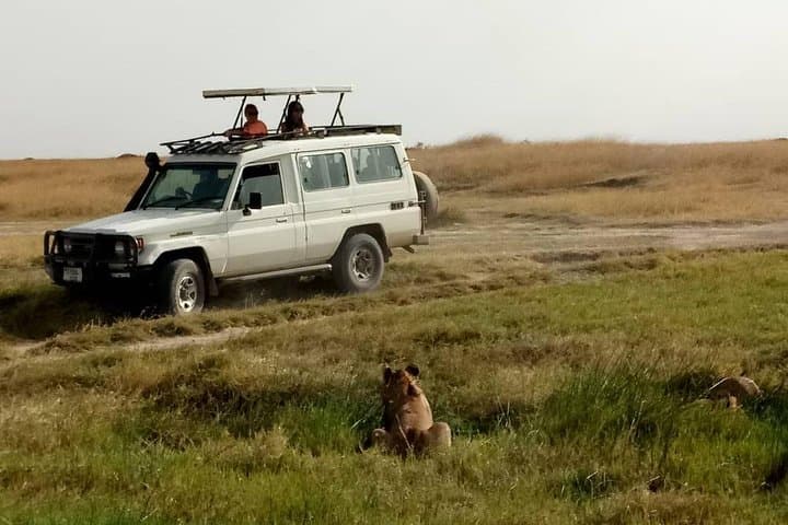 Full-Day Ngorongoro Crater Safari from Arusha or Moshi photo 6