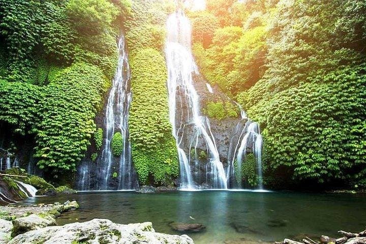 Northern Bali Day Tour: Ulun Danu, Handara Gate & Wanagiri Highlights photo 3