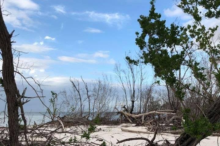Marco Island Dolphin, Birding & Shelling Tour: 2-Hour Eco Cruise in the 10,000 Islands photo 5
