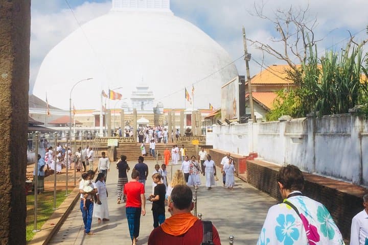13-Day Explore Sri Lanka: Cultural Triangle, Beach Time and Wildlife Safaris photo 4