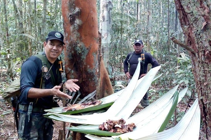 Jaguar Jungle Survival: Full-Day Amazon Rainforest Tour from Manaus photo 5