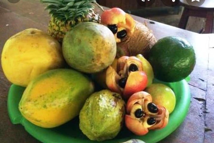 Sun Valley Farm Tour Ocho Rios — Fruit, Flora & Farm Life