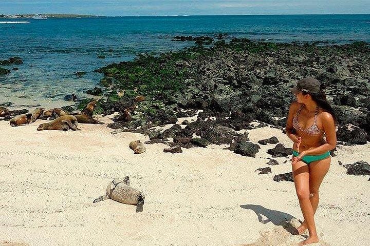 Wild San Cristobal: 4-Day Galápagos Expedition to Kicker Rock and the Highlands photo 4