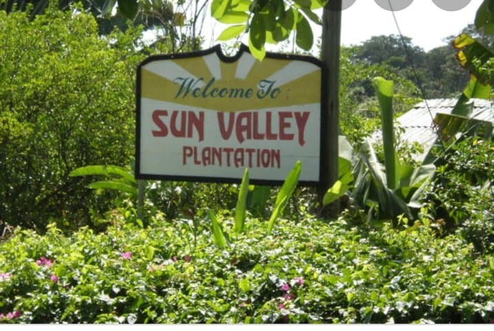 Sun Valley Farm Tour Ocho Rios — Fruit, Flora & Farm Life photo 3