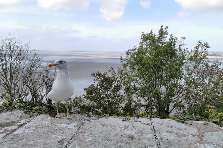 Mont Saint-Michel Day Trip from Paris — Private Guided Tour with Transport photo 4