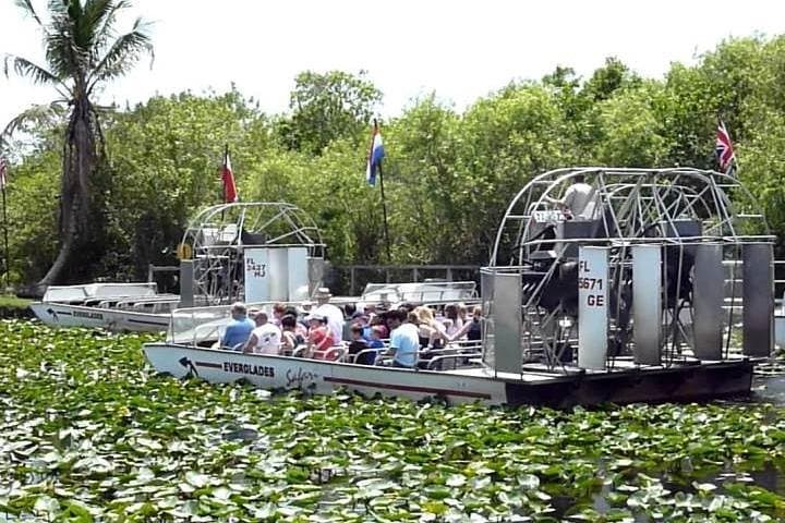 Everglades Airboat & Alligator Habitat Tour from Miami photo 6