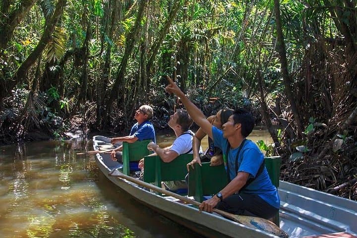 2-Day Amazon Tena from Quito: Jungle Lodge, River Tubing & Kichwa Community photo 3