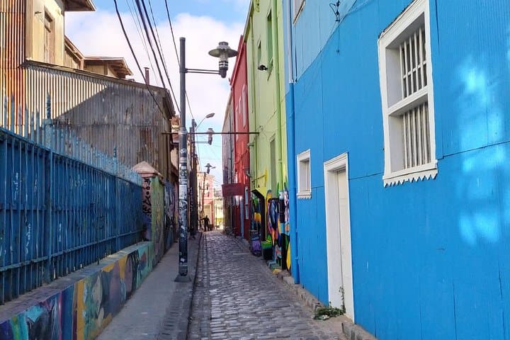 Private Full-Day Valparaíso & Viña del Mar Tour from Santiago — Street Art, Sea Lions & Funiculars photo 5