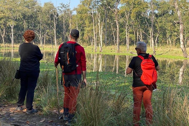 Chitwan 2-Day Jungle Safari from Kathmandu — Rhino, Jeep Safari & Tharu Culture photo 5