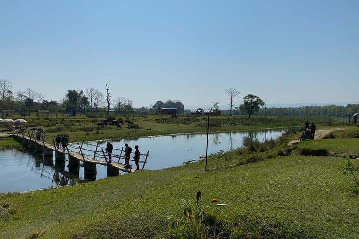Chitwan 2-Day Jungle Safari from Kathmandu — Rhino, Jeep Safari & Tharu Culture photo 6