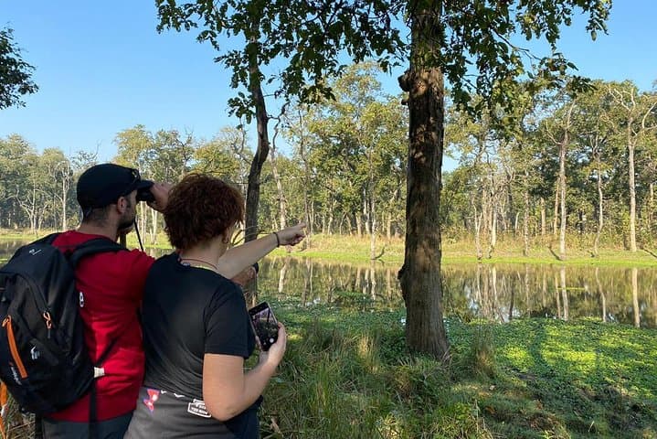 Chitwan 2-Day Jungle Safari from Kathmandu — Rhino, Jeep Safari & Tharu Culture