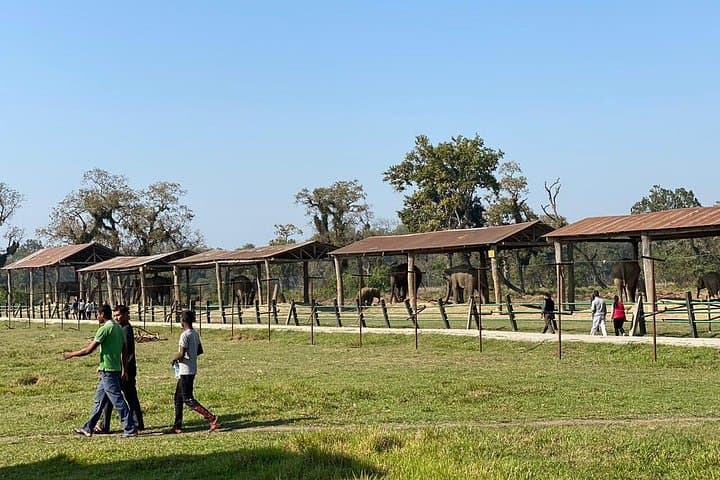 Chitwan 2-Night Jungle Safari: Rhino, Birds & Rapti River Adventure photo 4