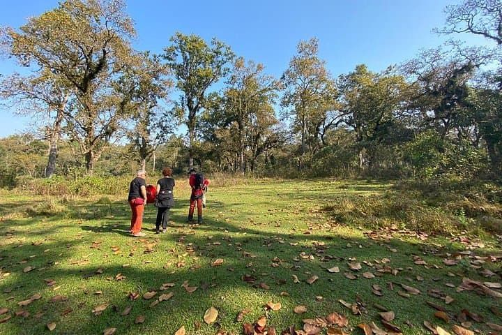 Chitwan 2-Night Jungle Safari: Rhino, Birds & Rapti River Adventure photo 1