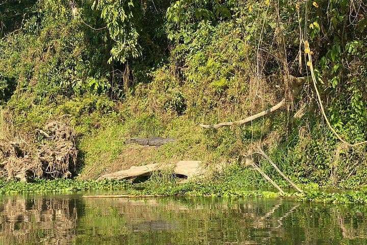 Chitwan 2-Night Jungle Safari: Rhino, Birds & Rapti River Adventure photo 3