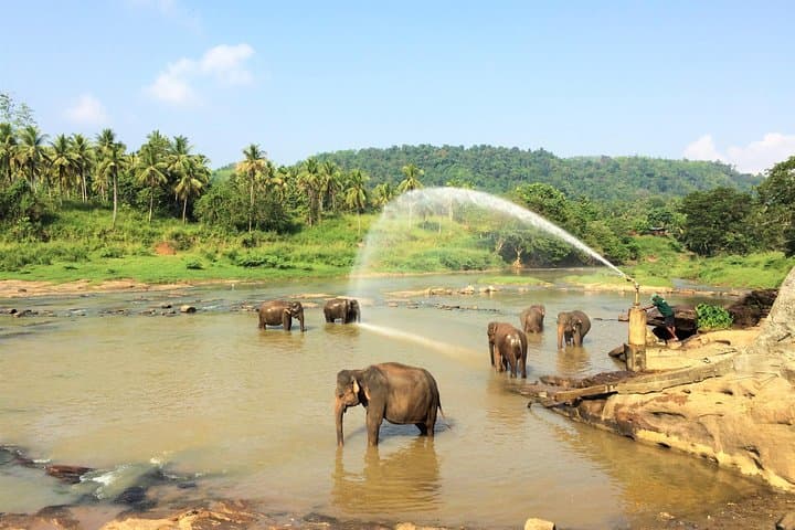 12-Day Explore Sri Lanka: Cultural Circuit, Hill Country & Wildlife Safaris photo 4