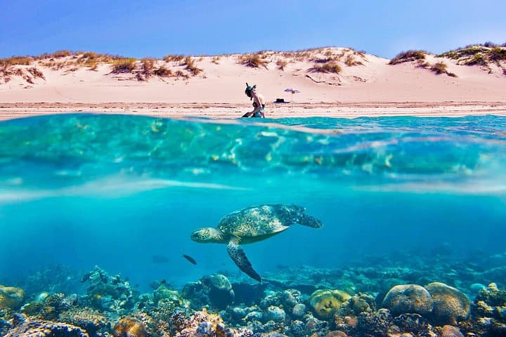 Full-Day Snorkeling in Safaga from Luxor — Coral Reefs & Utopia Island photo 4