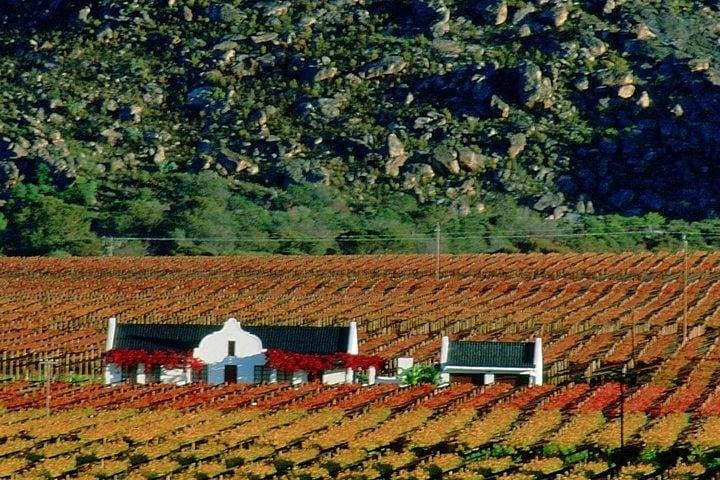 Crocodile Cage Diving, Cape Point & Stellenbosch Wine Tasting — 3-Day Cape Town Adventure photo 6