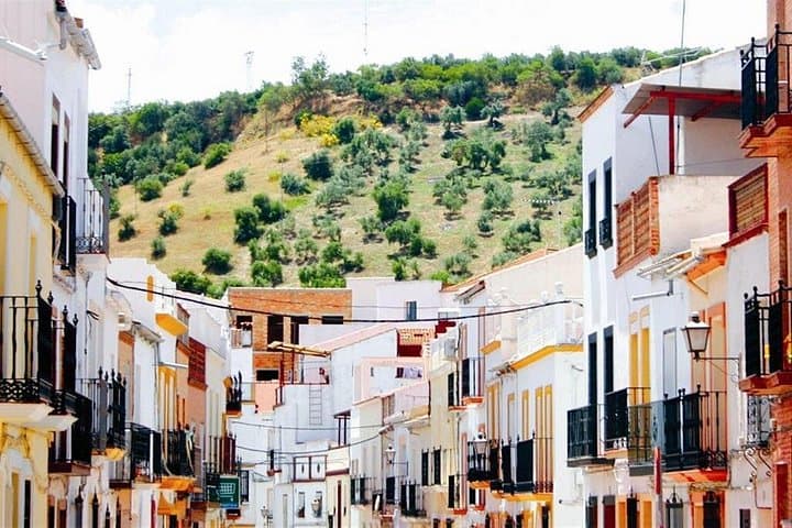 Day Trip to the White Villages from Cádiz: Ronda, Grazalema & Arcos photo 3