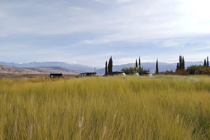 Half-Day Ourika Valley & Setti Fatma Waterfalls from Marrakech photo 5