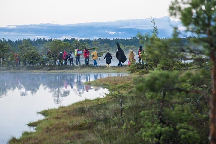 Viru Bog Bog‑Shoe Walk from Tallinn: Guided Day Tour into Estonia's Wetland
