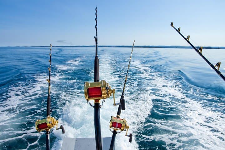 Half-Day Offshore Trolling in Punta Cana: Reel in Sailfish, Mahi Mahi, and Bluewater Excitement