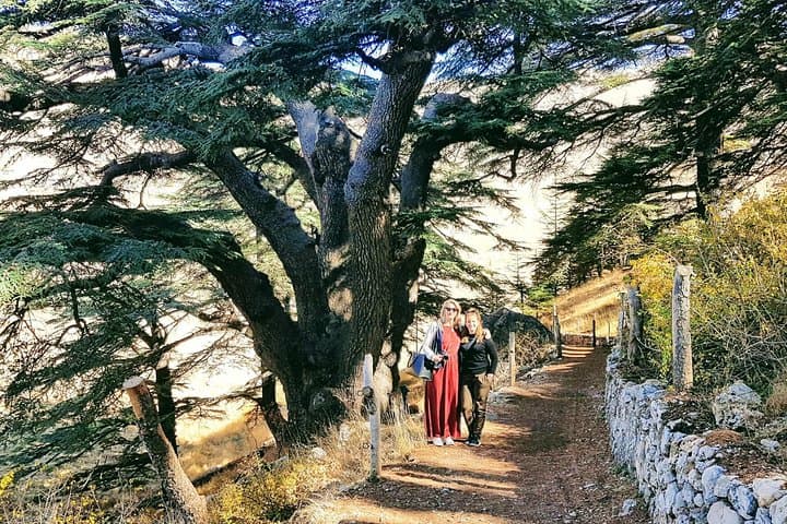 From Beirut: Full-Day Private Tour to Qadisha Valley, Cedars & Baalbek photo 4