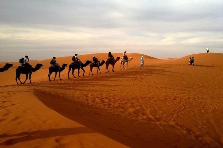 Abu Dhabi City Tour and Desert Safari: Mosque, Markets & Dune Bashing in One Day photo 6