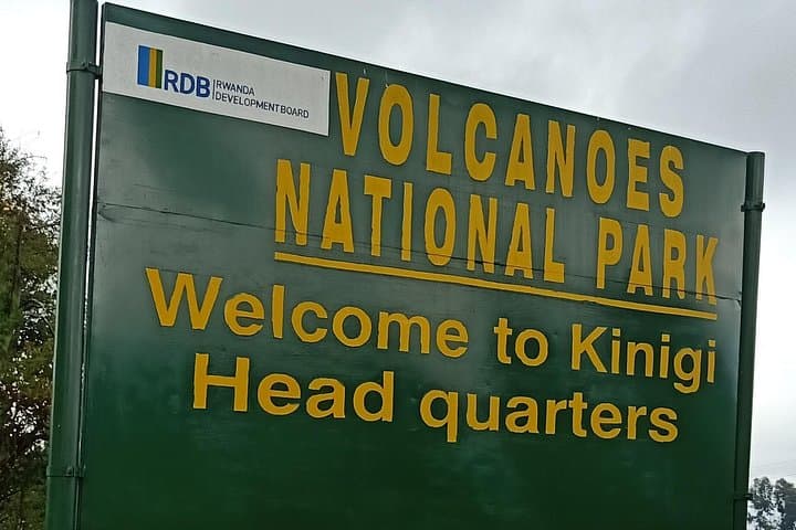 Gorilla Trekking in Volcanoes National Park — 1-Day Tour from Kigali photo 3