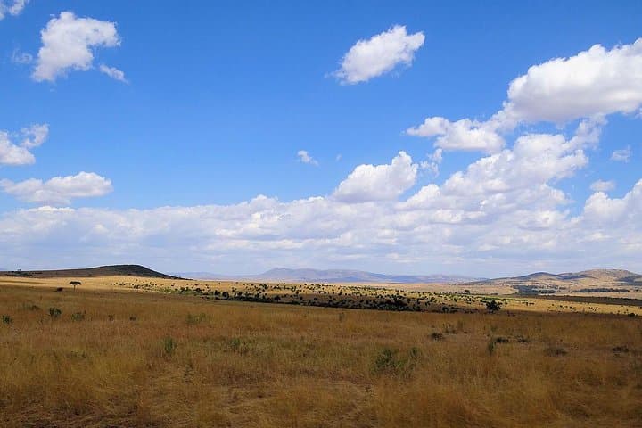 5-Day Kenya Safari: Masai Mara, Lake Nakuru & Hell's Gate Adventure photo 5